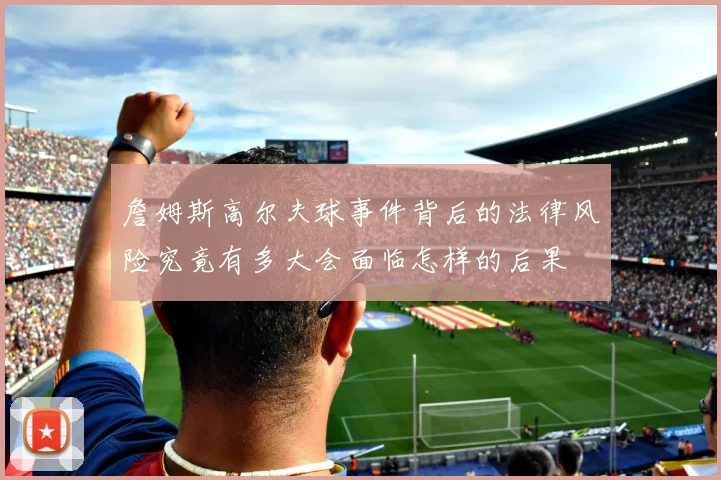 詹姆斯高尔夫球事件背后的法律风险究竟有多大会面临怎样的后果