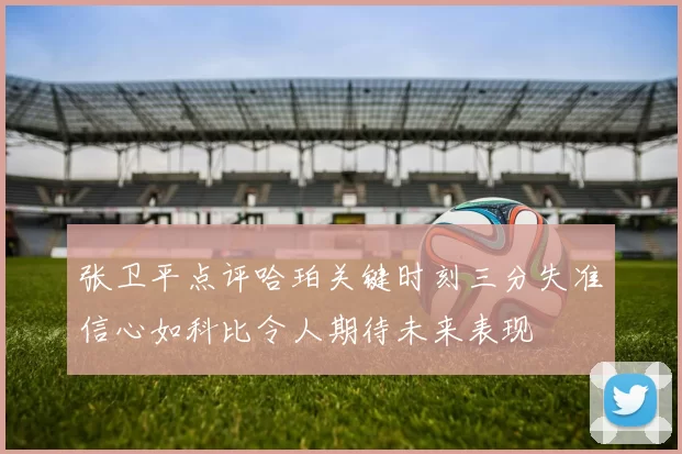 张卫平点评哈珀关键时刻三分失准信心如科比令人期待未来表现